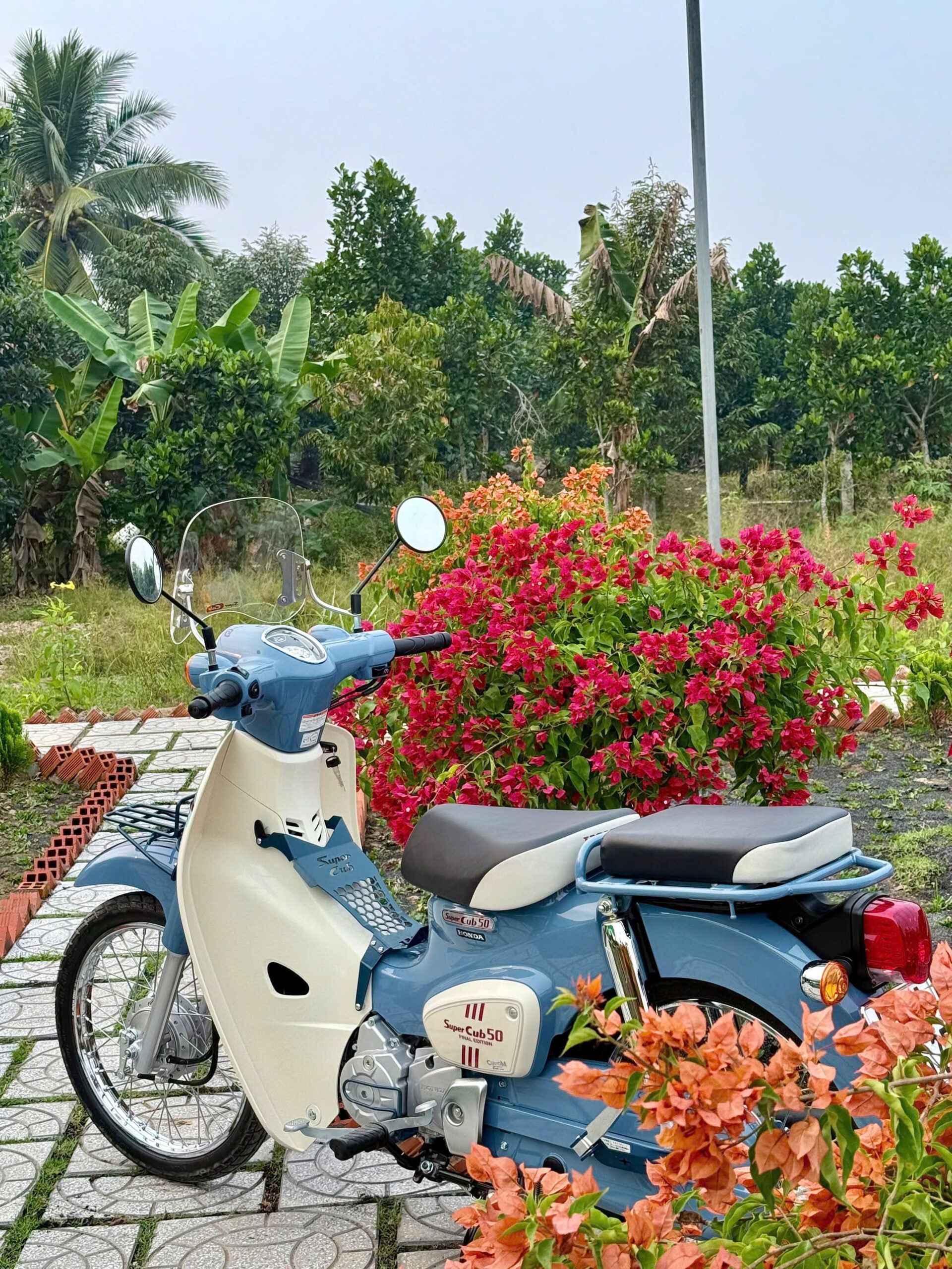 super cub 50cc final edition nhật bản